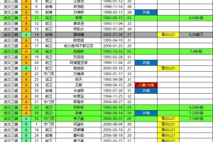 2026中超联赛三镇、海牛、铁人、铜梁龙夏季转会窗口报名名单