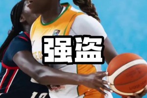 盗窃团伙来了