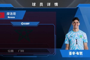 摩洛哥门神布努集锦：球门前的猛兽雄狮 上天遁地的恐怖门将