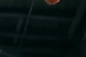 补充组织端的工作！三球利落发型加盟森林狼后首练！
